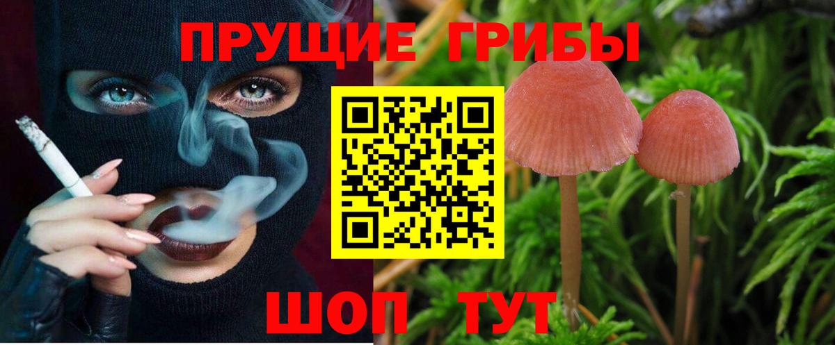 Галлюциногенные грибы мицелий Рубцовск